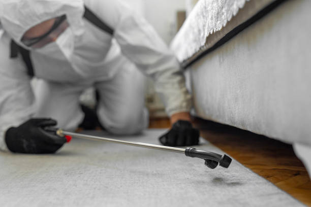 Professional Termite Control technician working in Castroville, TX