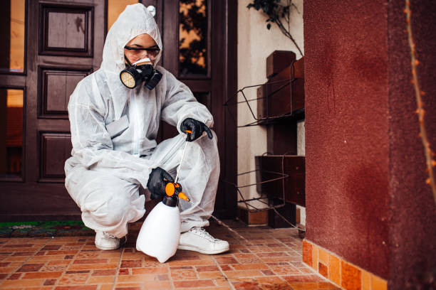 Reliable Termite Control contractor in Castroville, TX by Nex Pest Control